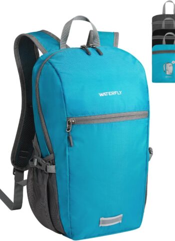 WATERFLY